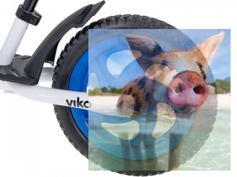 Rowerek biegowy Viko (koła 11" pianka EVA, wiek 3+, podest) - niebieski