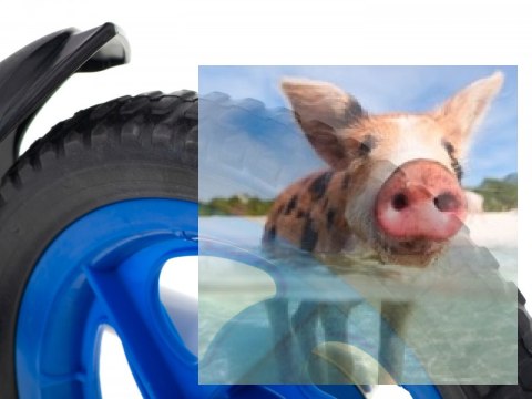 Rowerek biegowy Viko (koła 11" pianka EVA, wiek 3+, podest) - niebieski