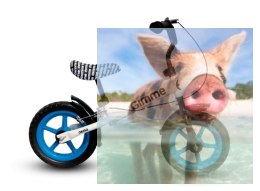 Rowerek biegowy z hamulcem Nemo (koła 11