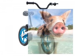 Rowerek biegowy z hamulcem Nemo (koła 11