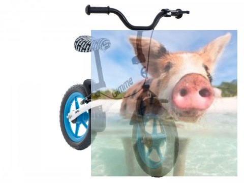 Rowerek biegowy z hamulcem Nemo (koła 11" pianka Eva, wiek 3+) - niebieski