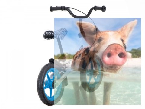 Rowerek biegowy z hamulcem Nemo (koła 11" pianka Eva, wiek 3+) - niebieski