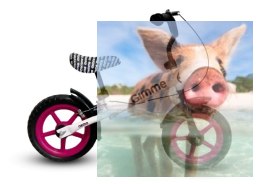 Rowerek biegowy z hamulcem Nemo (koła 11