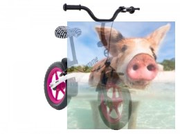 Rowerek biegowy z hamulcem Nemo (koła 11