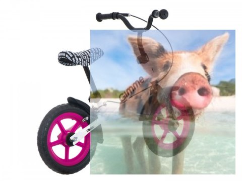 Rowerek biegowy z hamulcem Nemo (koła 11" pianka Eva, wiek 3+) - różowy