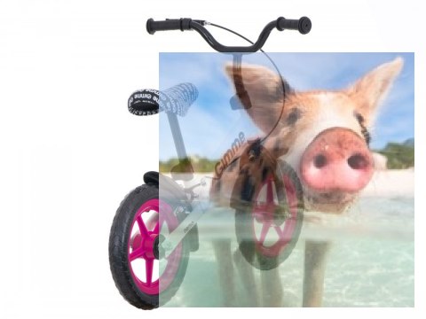 Rowerek biegowy z hamulcem Nemo (koła 11" pianka Eva, wiek 3+) - różowy