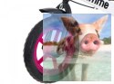Rowerek biegowy z hamulcem Nemo (koła 11" pianka Eva, wiek 3+) - różowy
