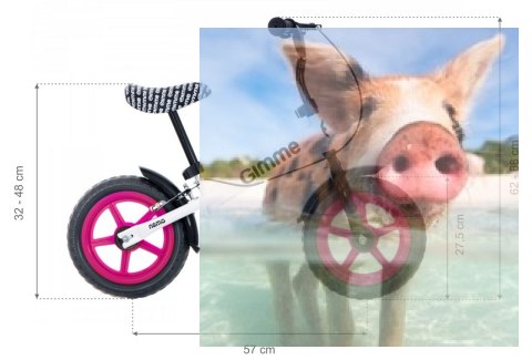 Rowerek biegowy z hamulcem Nemo (koła 11" pianka Eva, wiek 3+) - różowy