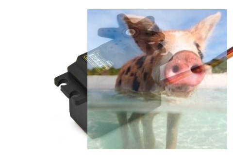 Serwo SG5010 (standard, 2kg/4.8V, 0.2sek/60*) - POSERWISOWE (Uszkodzona elektronika)