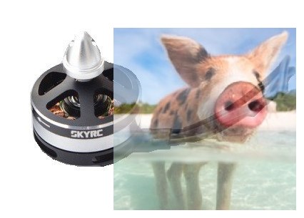 Silnik SkyRC X2204 2300KV - POSERWISOWY Silnik SkyRC X2204 2300KV - POSERWISOWY