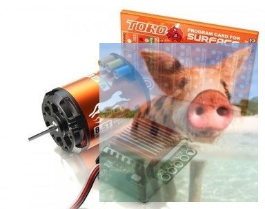 Zestaw SkyRc Cheetah - reg. obrotów 60A + silnik bezszczotkowy 4000KV 8.5T + karta prog. - POSERWISOWY