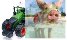 Zgrabiarka obrotowa do ciągnika