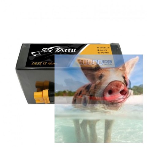 10000mAh 44.4V 30C TATTU Gens Ace 10000mAh 44.4V 30C TATTU Gens Ace
