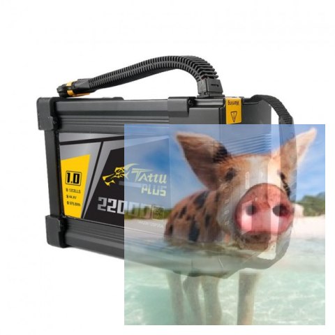 22000mAh 44.4V 25C Tattu Plus Gens Ace