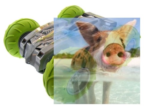 Amfibia AX Raider duże wymiary - 0931