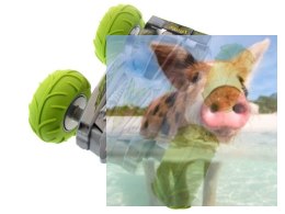 Amfibia AX Raider duże wymiary - 0931