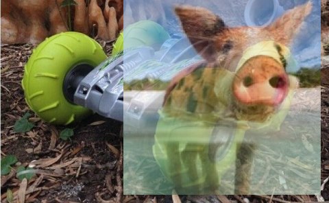 Auto wyczynowe Surmount 2.4GHz - 0932 - Zielony