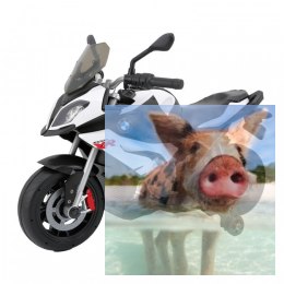 BMW S1000XR (akumulator) - biały