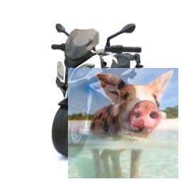 BMW S1000XR (akumulator) - biały