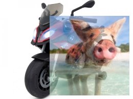 BMW S1000XR (akumulator) - czerwony