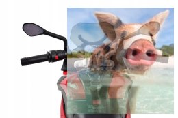 BMW S1000XR (akumulator) - czerwony