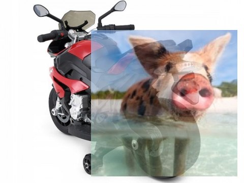 BMW S1000XR (akumulator) - czerwony