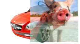 Jeździk Mercedes-Benz SLK55 (akumulator, MP3) - czerwony