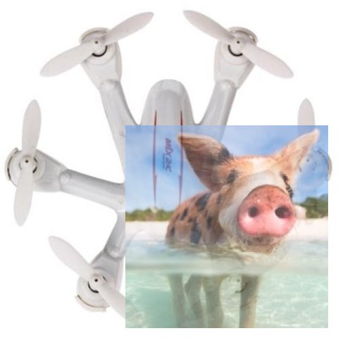 Mini dron X901 (4CH, 2.4GHz, zasięg 20-30m, 22g, żyroskop, 7.5cm) - Biały