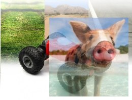 Overlord 1:18 2.4GHz, RTR - czerwony