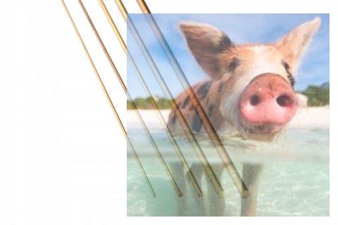 Pręt mosiężny - 7mm