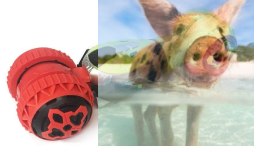 Roller 1:14 2.4GHz RTR