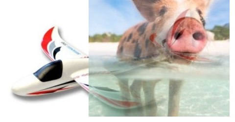 Szybowiec rzutka Sky Surfer EPO (rozpiętość 562mm)