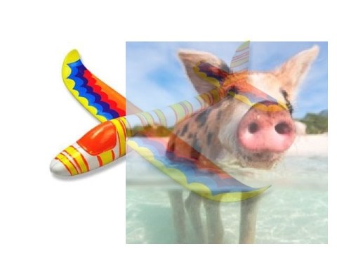 Szybowiec rzutka Sky Surfer do malowania farbami (rozpiętość 562mm)