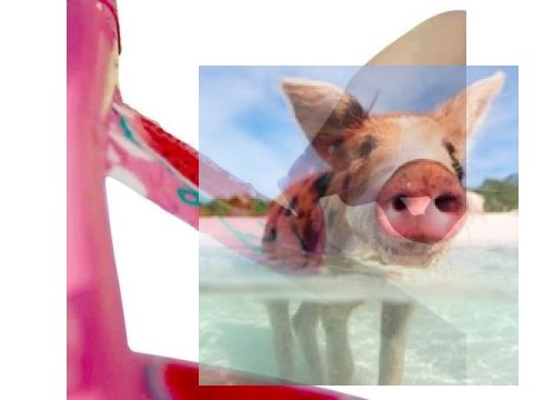 Szybowiec rzutka Sky Surfer do malowania farbami (rozpiętość 562mm)