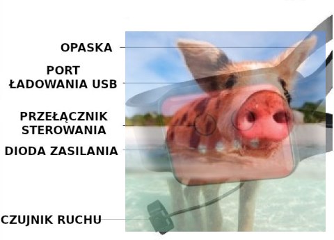 Twist Climber 1:16, 2.4GHz RTR - czerwony