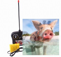 Twister Car 27MHz RTR