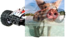 Blade DS 2.4GHz Nitro - R0066