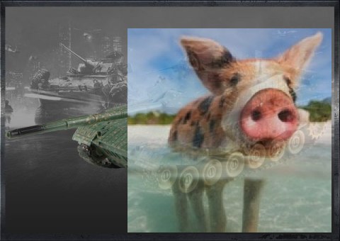 Chinese 96 type v2 1:28 2.4GHz RTR