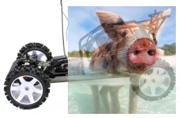 Crocodile Buggy benzyna 2WD 2.4GHz - R0002B