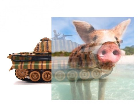 German King Tiger v2 1:28 2.4GHz RTR