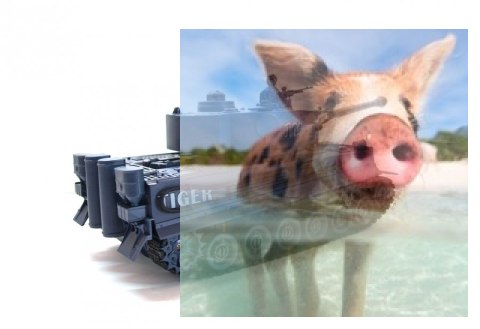 German Tiger 1:28 2.4GHz RTR