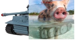 German Tiger 2.4GHz RTR 1:24 - Szary