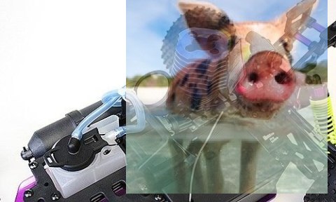 Himoto Syclone 2.4GHz Nitro (HSP Condor) - 10216