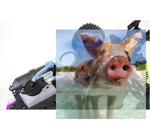 Himoto Syclone Pro 2.4GHz Nitro (HSP Condor PRO) - 10314