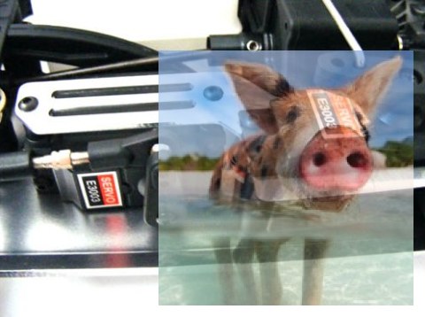 Spirit N1 Nitro 1:10 2.4GHz - R0080