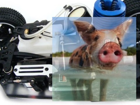 Spirit N1 Nitro 1:10 2.4GHz - R0080