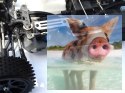 Spirit N2 Nitro 1:10 2.4GHz 4WD - R0070