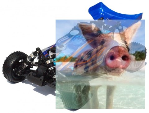 Spirit N2 Nitro 1:10 2.4GHz 4WD - R0080