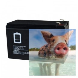 7Ah 12V bezobłsugowy