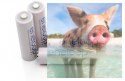 AA 1.2V 1900mAh Eneloop 4 szt
